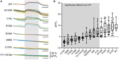 X-linked Charcot Marie Tooth mutations alter CO2 sensitivity of connexin32 hemichannels